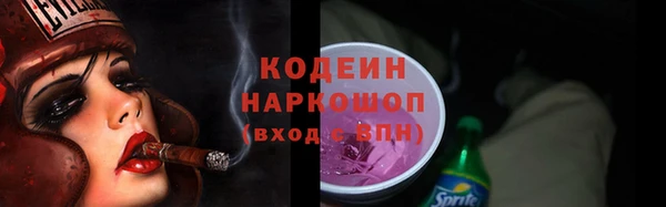 мдпв Туринск