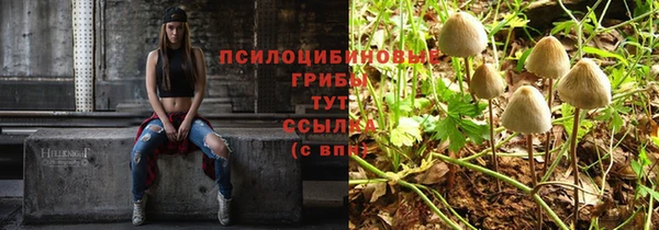 а пвп мука Балахна