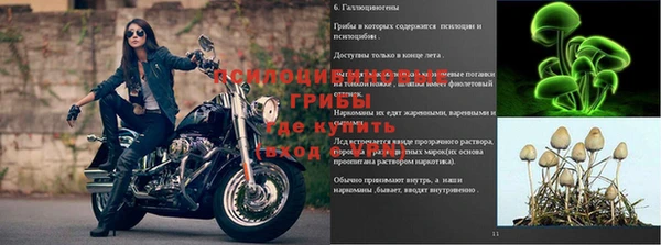мдпв Туринск